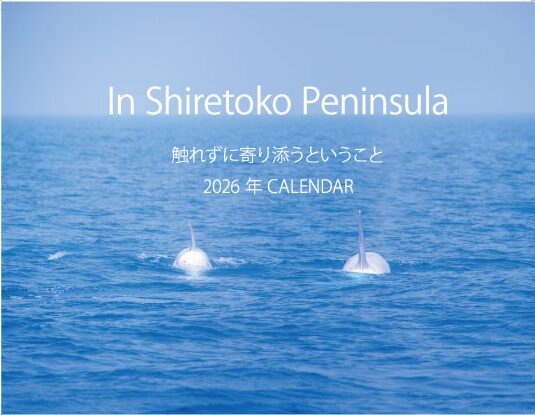 卓上カレンダー